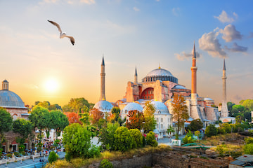 International Destinations